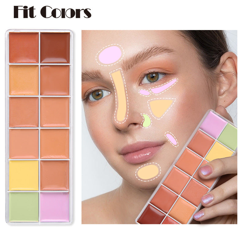 12 Color Natural Moisturizing Long Lasting Concealer