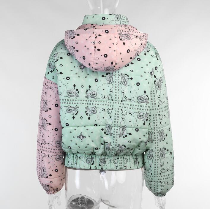 Harajuku Style Colorblock Long Sleeve Zipper Jacket