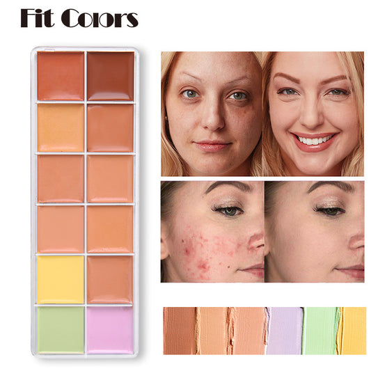 12 Color Natural Moisturizing Long Lasting Concealer