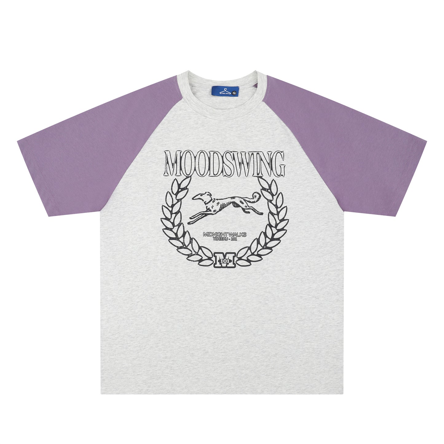 Retro Colorblock Dachshund Raglan T-Shirt