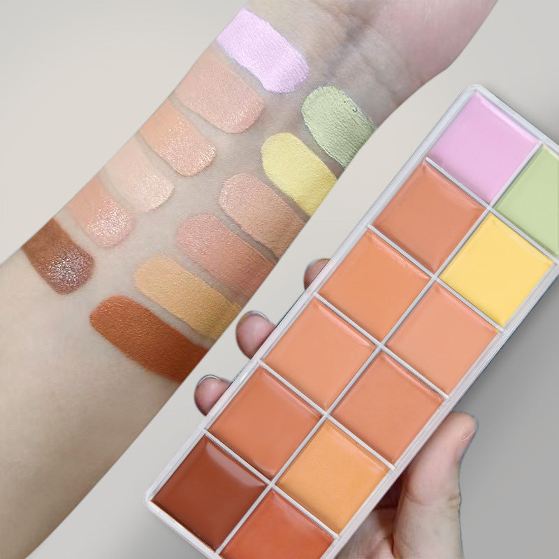 12 Color Natural Moisturizing Long Lasting Concealer