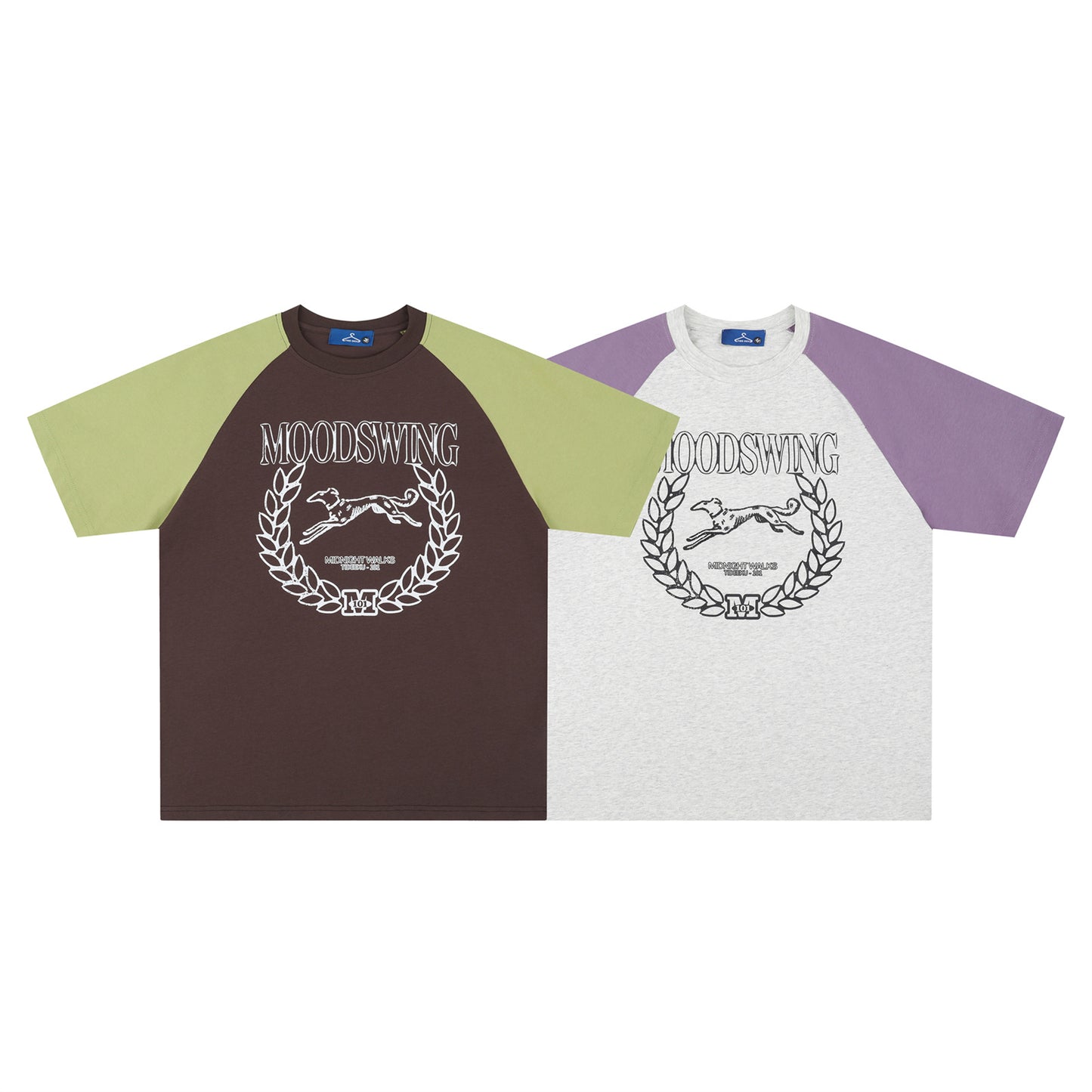 Retro Colorblock Dachshund Raglan T-Shirt