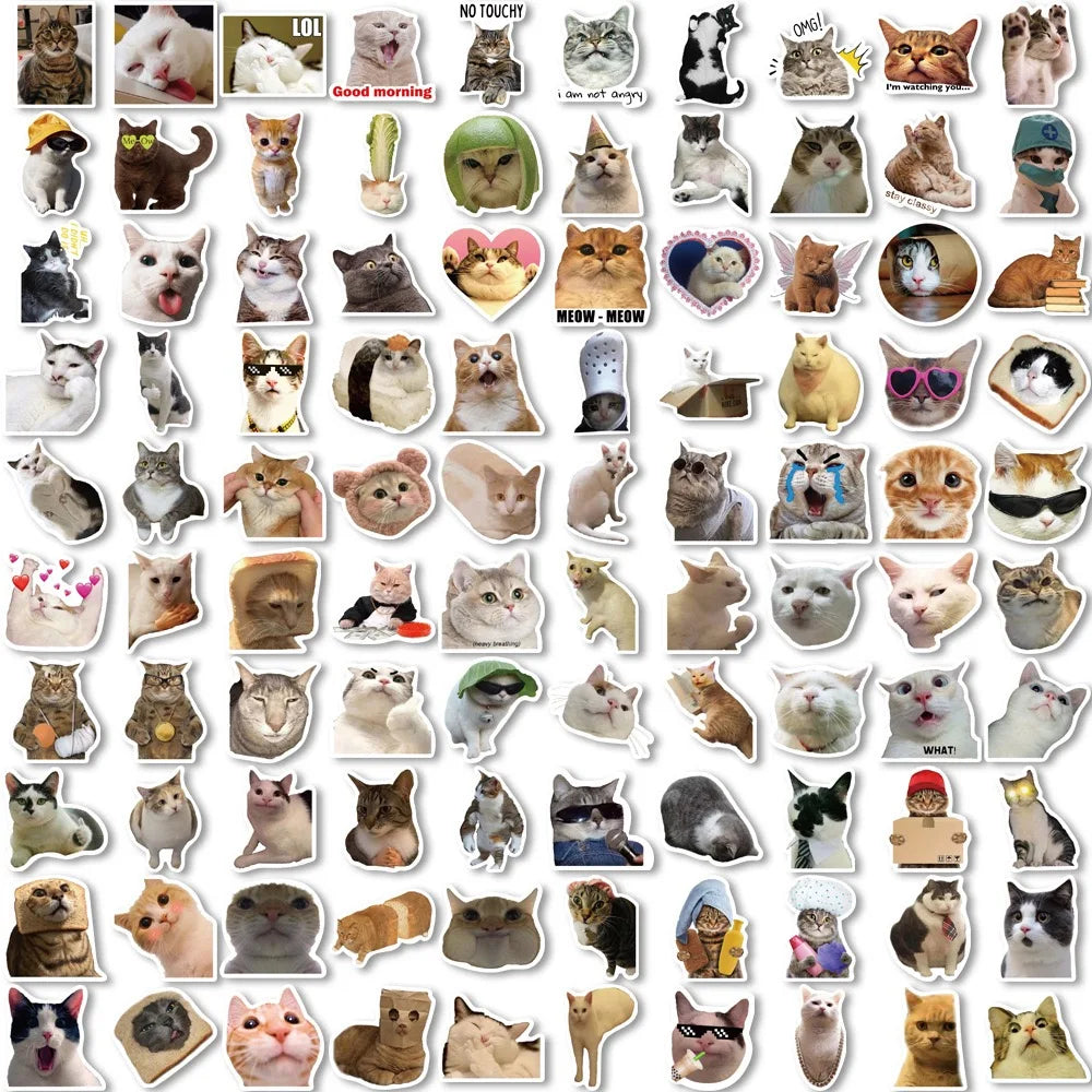 Funny Cute Cat MEME Stickers