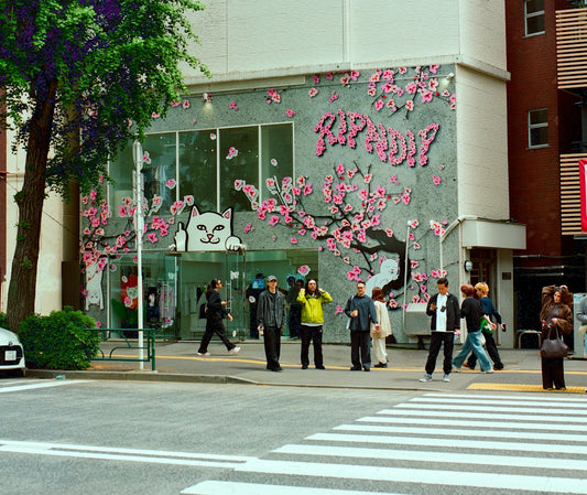 Pedestrians near a building with a pink cherry blossom mural.