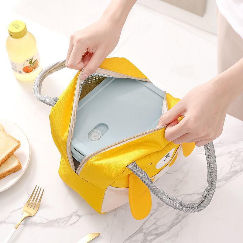 Cartoon Insulated Picnic Lunch Bag - Harajuku Style Cooler
