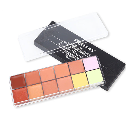 12 Color Natural Moisturizing Long Lasting Concealer