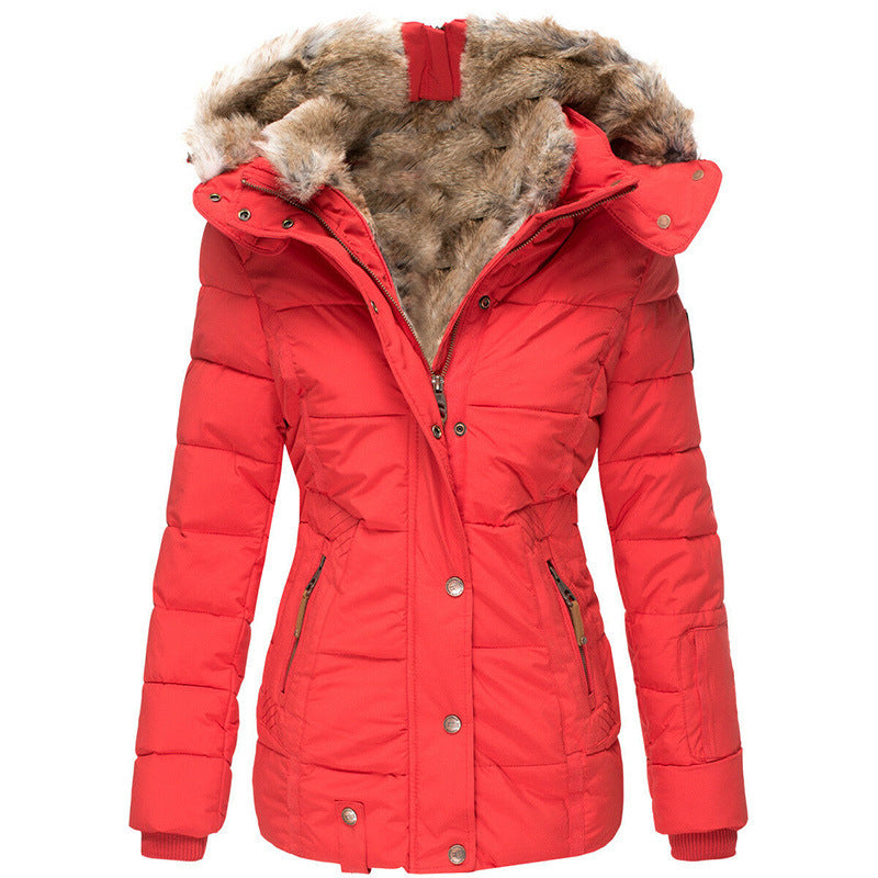 Zipper Long Sleeve Slim Fit Cotton Hooded Jacket