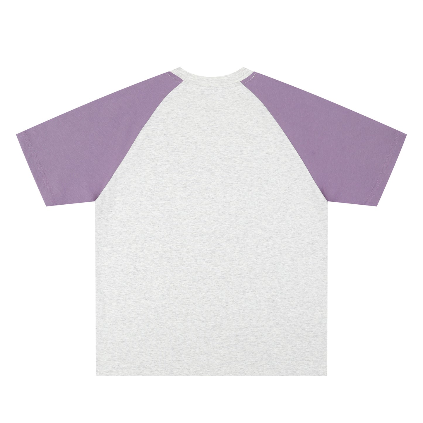 Retro Colorblock Dachshund Raglan T-Shirt