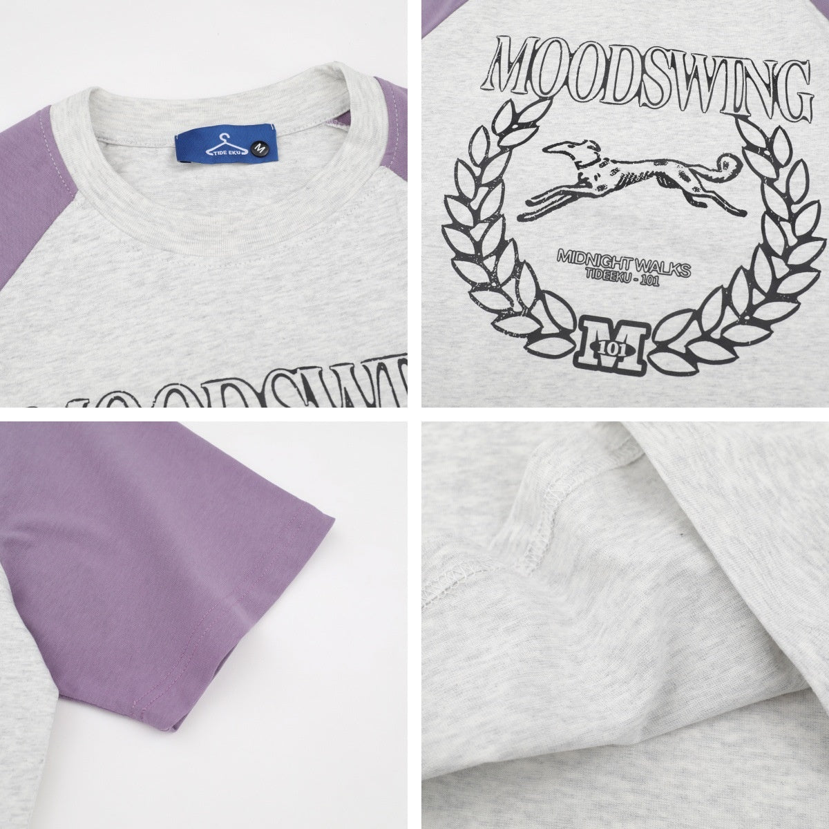 Retro Colorblock Dachshund Raglan T-Shirt