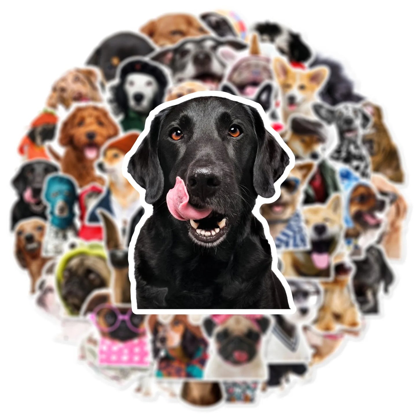 10/25/50pcs Funny Lovely Dog Meme Stickers