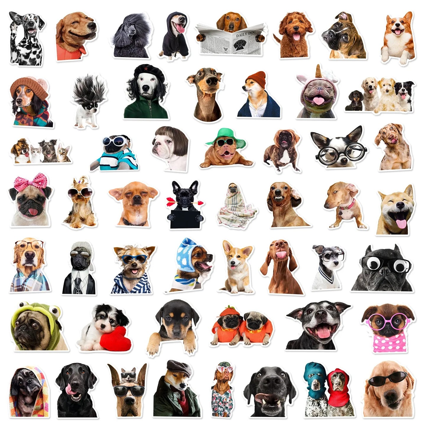 10/25/50pcs Funny Lovely Dog Meme Stickers