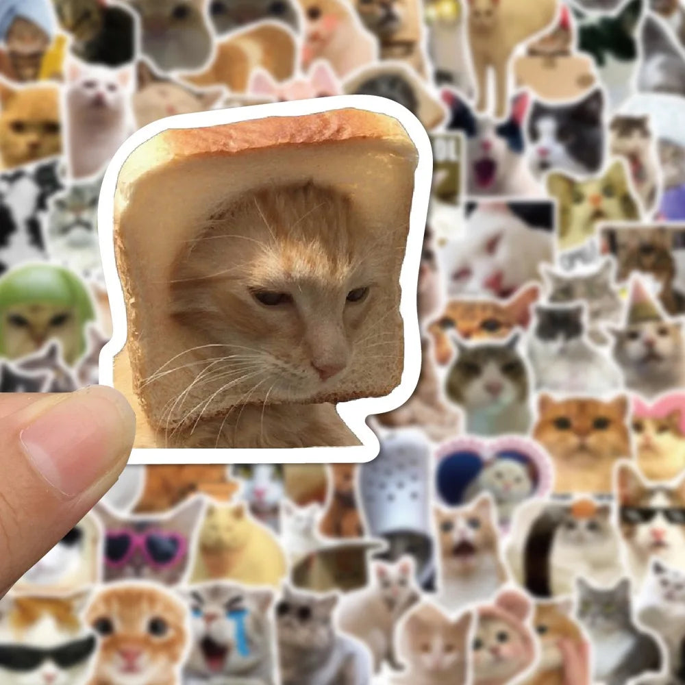 Funny Cute Cat MEME Stickers